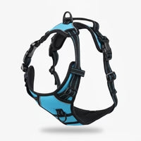 Activ'Pet No-Pull Harness